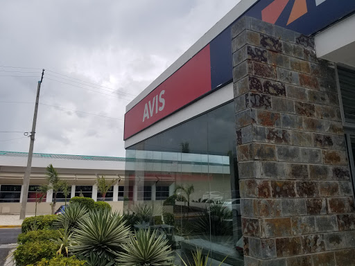 AVIS Rental Center