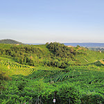 Photo n°3 de l'avis de M. fait le 30/08/2021 à 19:00 sur le  Osteria alla Terrazza à Valdobbiadene