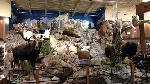 Outdoor Sports Store «Field & Stream», reviews and photos, 2075 Interchange Rd, Erie, PA 16509, USA