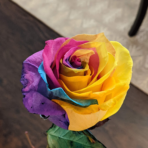 Cremation Service «Renaissance Funeral Home and Cremation», reviews and photos, 7615 Six Forks Rd, Raleigh, NC 27615, USA