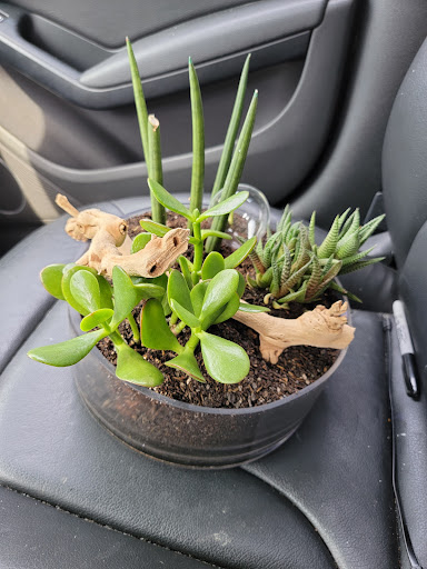 Florist «Stacy K Floral», reviews and photos, 43 Russell St, Rochester, NY 14607, USA