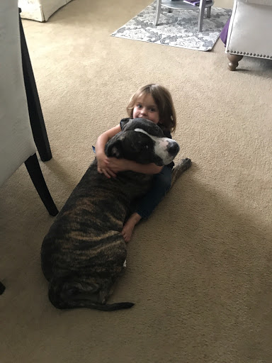 Pet Supply Store «Pet Supermarket», reviews and photos, 7822 Gall Blvd, Zephyrhills, FL 33541, USA