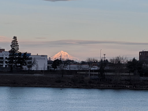 Park «Mill Ends Park», reviews and photos, 56 SW Taylor St, Portland, OR 97204, USA