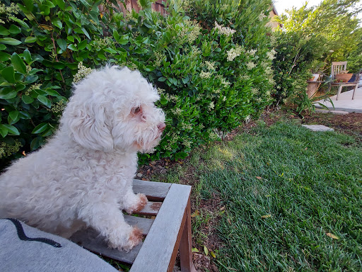 Menifee Animal Hospital image