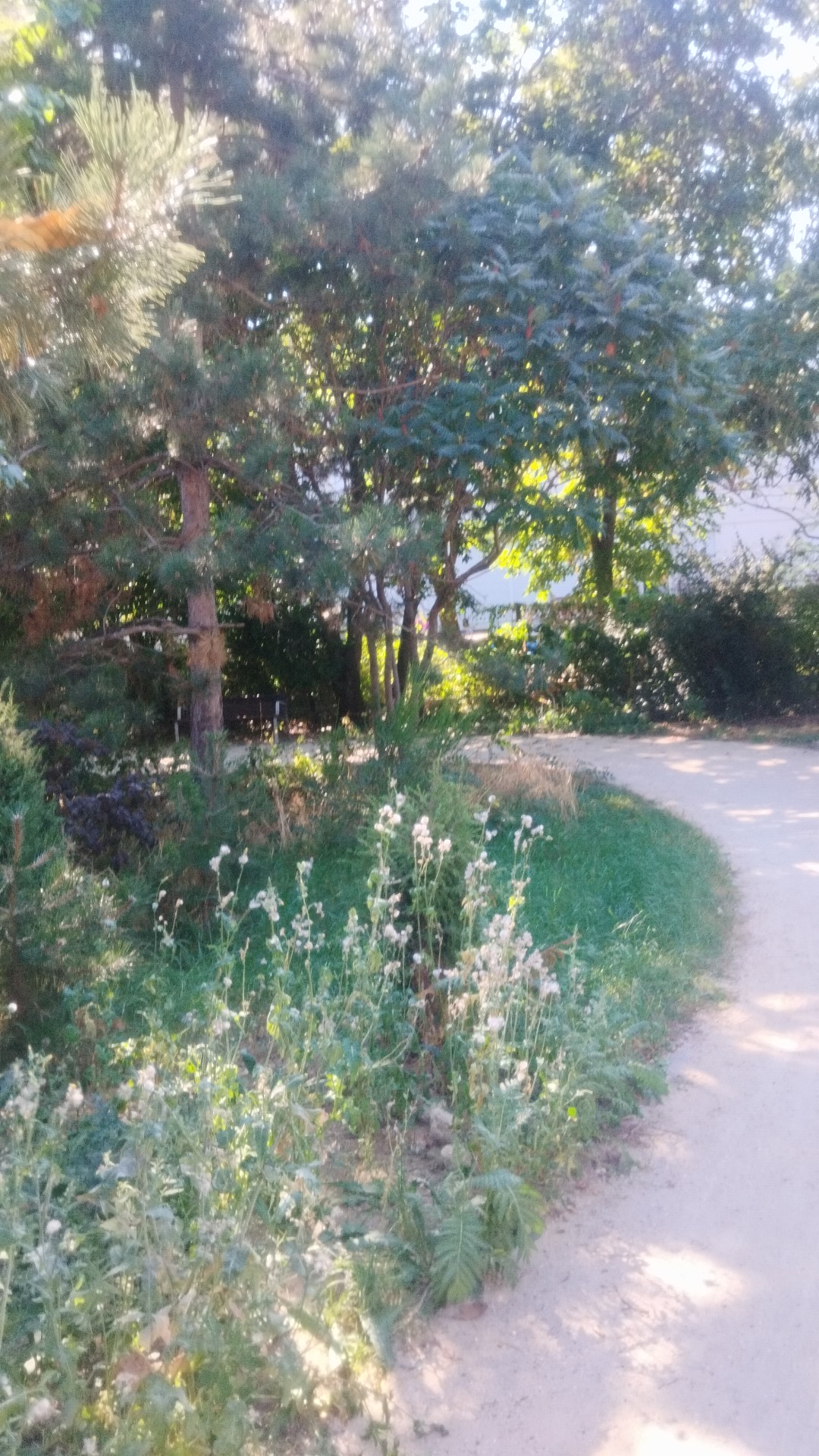 Photo n° 3 de l'avis de Onno.a fait le 10/09/2023 à 13:42