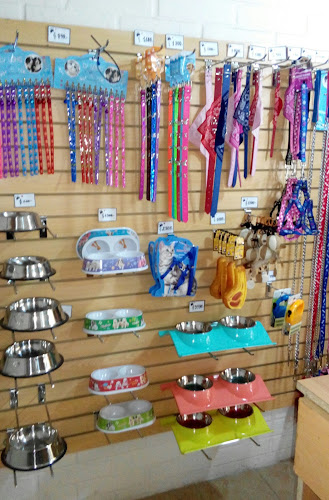 Pelusa's Pet Shop - El Bosque