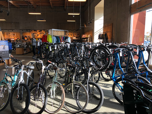 Camping Store «REI», reviews and photos, 12218 E Foothill Blvd, Rancho Cucamonga, CA 91739, USA