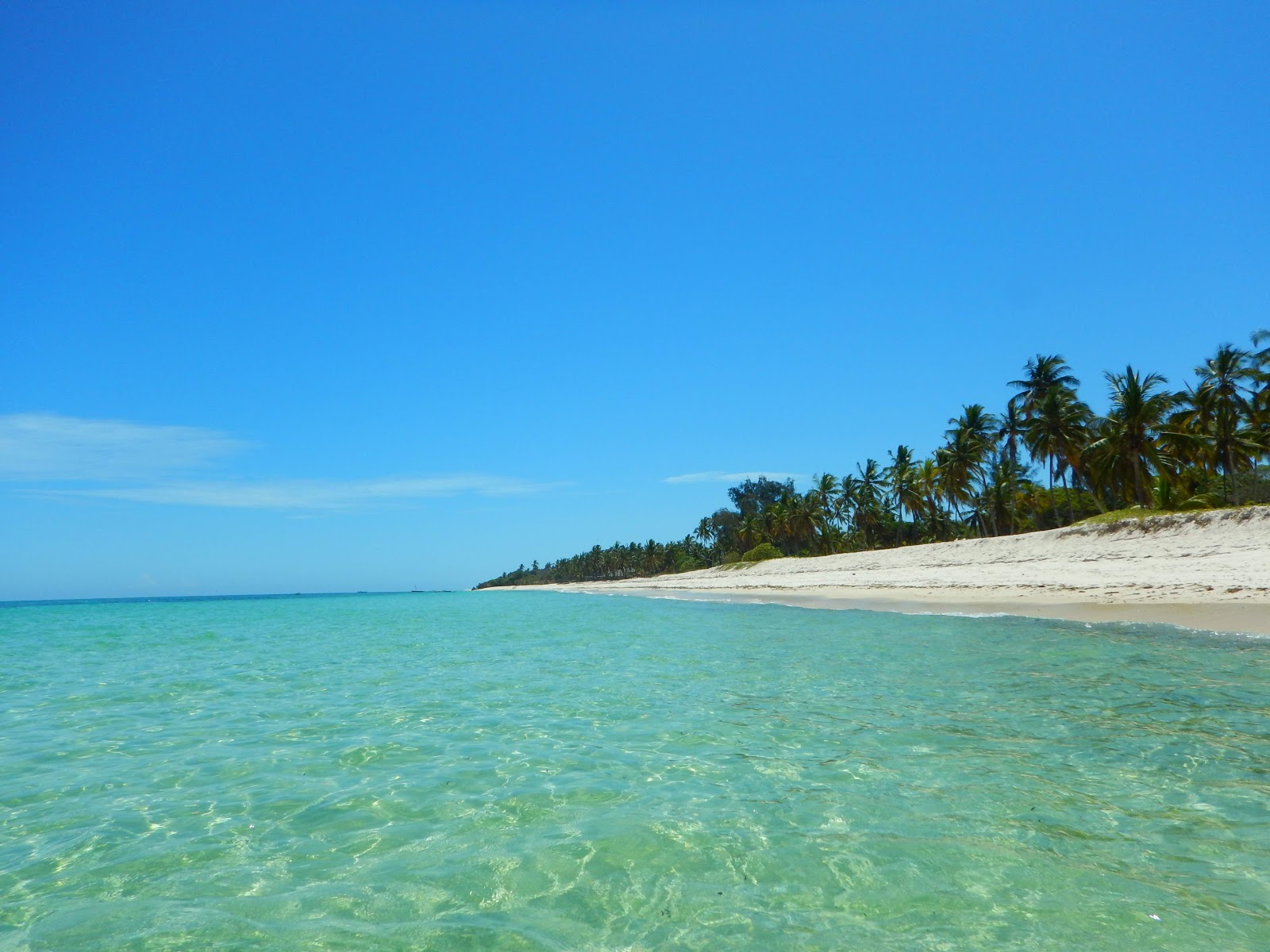 Twiga Lodge Beach'in fotoğrafı - rahatlamayı sevenler arasında popüler bir yer