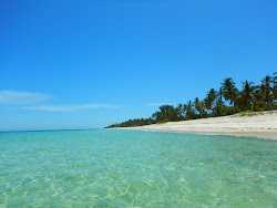 Twiga Lodge Beach'in fotoğrafı - rahatlamayı sevenler arasında popüler bir yer