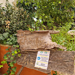 Photo n°3 de l'avis de Fabry.n fait le 01/08/2021 à 15:58 sur le  Le Casine sull'Asso Trattoria à Galatina