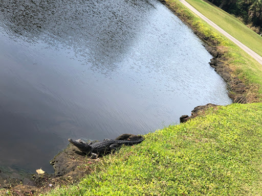 Country Club «Gator Trace Golf & Country Club», reviews and photos, 4302 Gator Trace Dr, Fort Pierce, FL 34982, USA