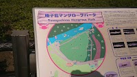 種子島マングローブパーク