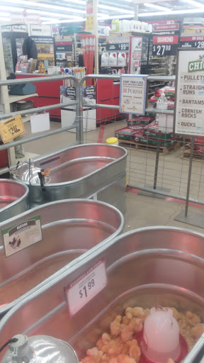 Home Improvement Store «Tractor Supply Co.», reviews and photos, 1424 W Main St Ext #1, Grove City, PA 16127, USA