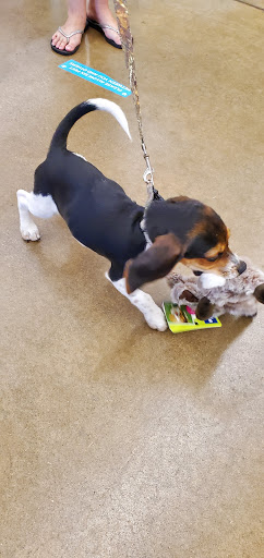 Pet Supply Store «PetSmart», reviews and photos, 5812 Youngstown Warren Rd, Niles, OH 44446, USA