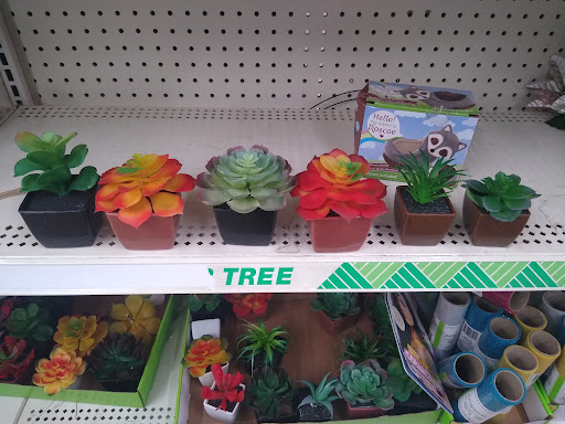 Dollar Store «Dollar Tree», reviews and photos, 250 Jericho Turnpike #80, Floral Park, NY 11001, USA