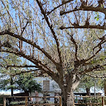 Photo n°2 de l'avis de Giuli. fait le 01/04/2023 à 16:48 sur le  Agriturist La Fonte à Osteria