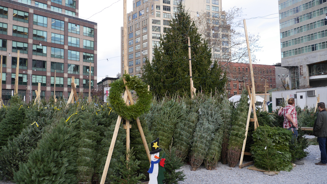 SoHo Trees: Christmas Tree Store in NYC