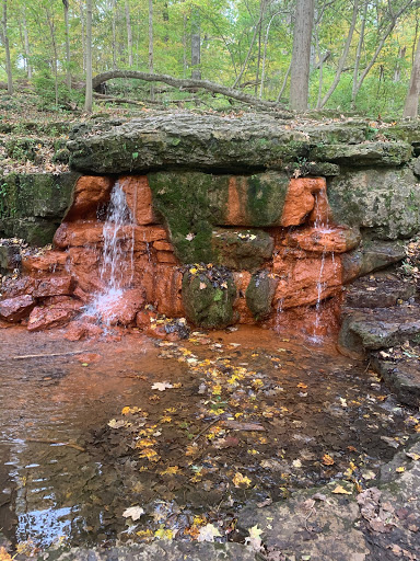 Explore dad daughter tattoo ideas, creative tattoo ideas in Yellow Springs, available at Yellow Springs INK Arts Collective