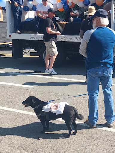 Grocery Store «Safeway», reviews and photos, 406 N Main St, Sebastopol, CA 95472, USA