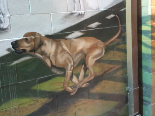 Pet Supply Store «Pet Food Express», reviews and photos, 265 Davis St, San Leandro, CA 94577, USA