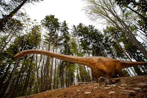 Dino Parc Râșnov image