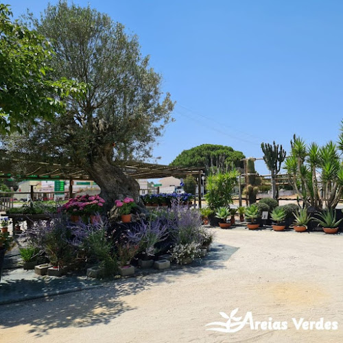 Areias Verdes - Equipamentos E Produtos Para Piscinas E Jardins Lda - Floricultura