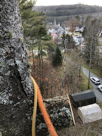 Northern Vermont Tree Climbers