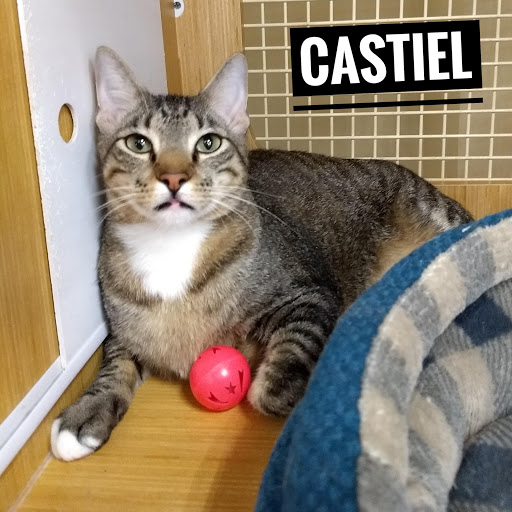 Pet Supply Store «Petco Animal Supplies», reviews and photos, 1500 N Town E Blvd, Mesquite, TX 75150, USA