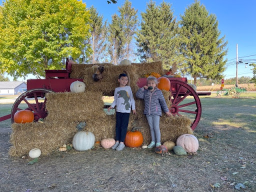 Insurance Agency «Tom Pelham - State Farm Insurance Agent», reviews and photos