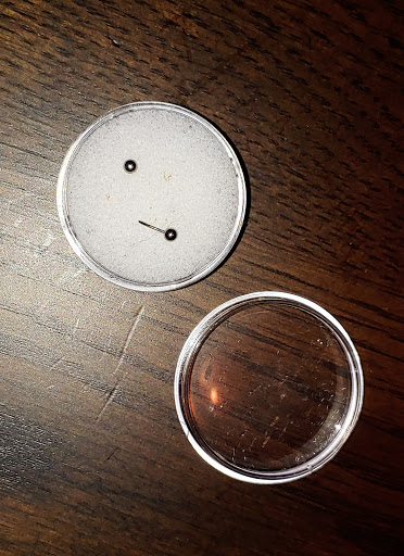 Explore arrow tattoo ideas, creative tattoo ideas in Vienna, available at Brilliance Piercing