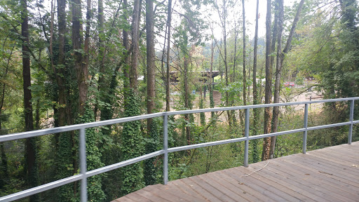 Zoo «Oregon Zoo», reviews and photos, 4001 Southwest Canyon Road, Portland, OR 97221, USA