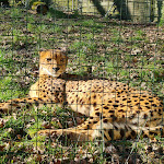 Photo n° 21 de l'avis de Maïté.e fait le 22/08/2022 à 16:45 pour Zoo de Jurques à Dialan sur Chaîne