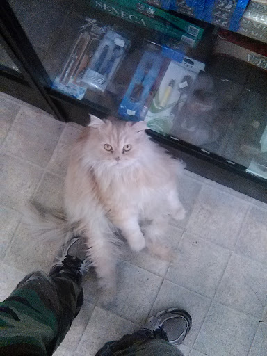 Tobacco Shop «Hodas Tobacco», reviews and photos, 663 Elm Rd NE, Warren, OH 44483, USA