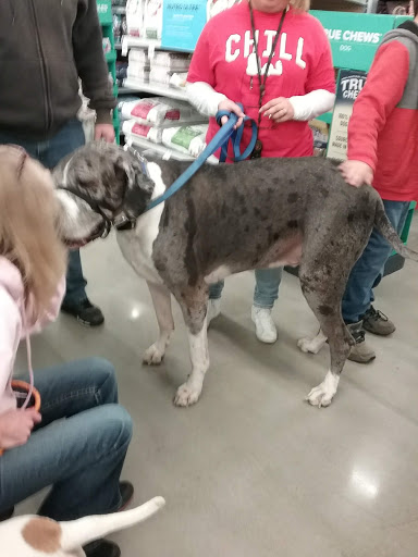 Pet Supply Store «Petco Animal Supplies», reviews and photos, 2140 E Blvd St, Kokomo, IN 46902, USA