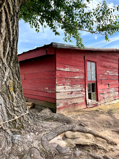 Tourist Attraction «Amish Heritage Farm», reviews and photos, 1016 Brewer Rd, Ethridge, TN 38456, USA