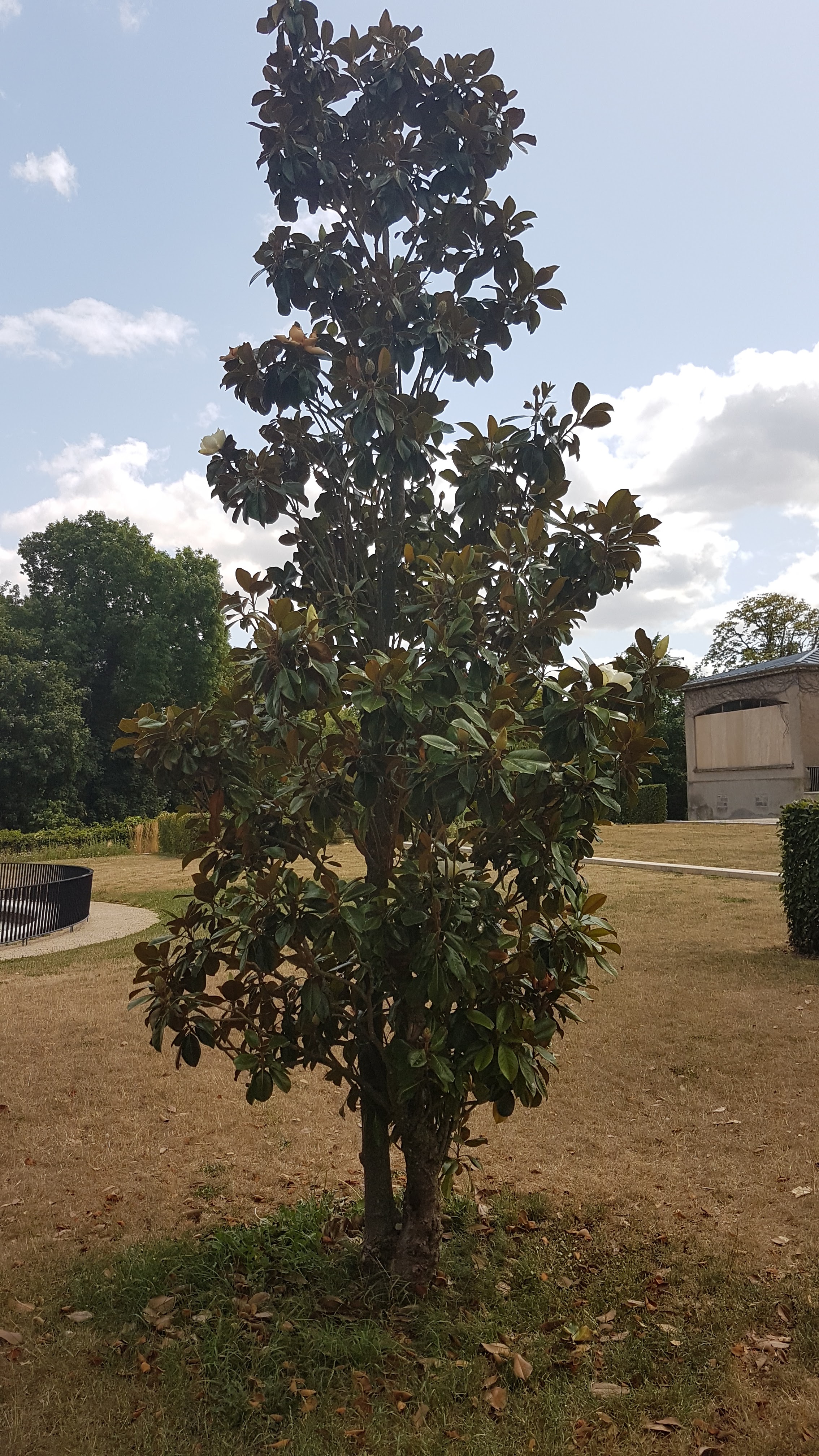 Photo n° 4 de l'avis de Ibo.z fait le 31/07/2019 à 14:29