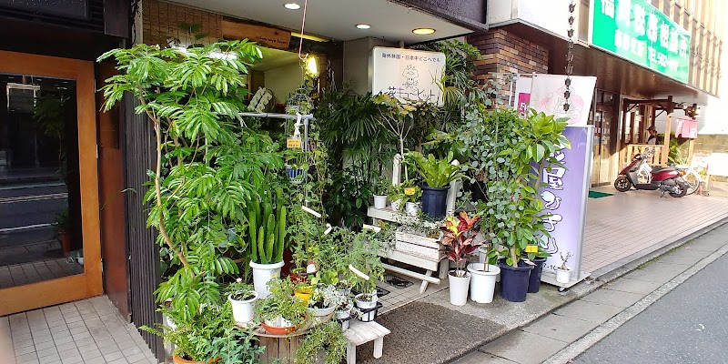 フレーバーハウス 長住店 福岡県福岡市南区長住 花屋 花 グルコミ
