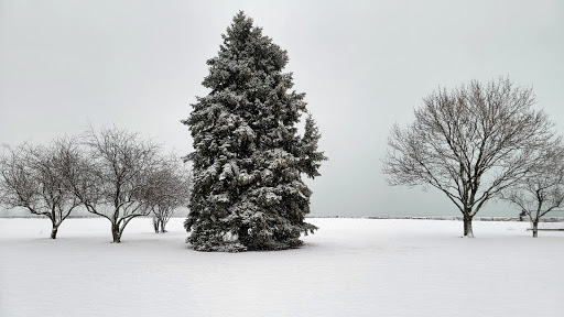 Golf Course «Sydney R. Marovitz Golf Course», reviews and photos, 3600 N Recreation Dr, Chicago, IL 60613, USA