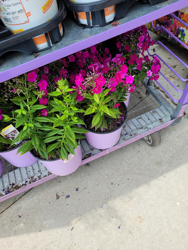 Home Improvement Store «The Home Depot», reviews and photos, 2600 S Lapeer Rd, Lake Orion, MI 48360, USA