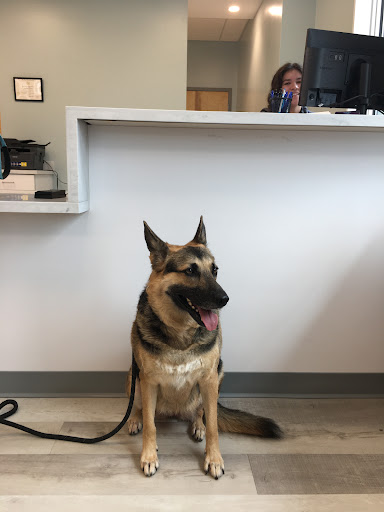 Animal Dermatology Clinic image