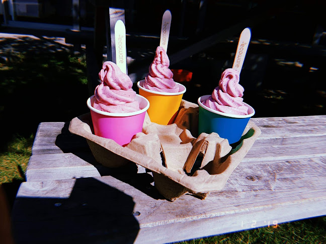 Reviews of Village Berries in Gisborne - Ice cream