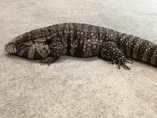 Aquarium «SEA LIFE Grapevine Aquarium», reviews and photos, 3000 Grapevine Mills Pkwy, Grapevine, TX 76051, USA