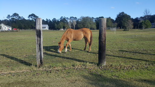Golf Club «Palm Valley Golf Club», reviews and photos, 1075 Palm Valley Rd, Ponte Vedra Beach, FL 32081, USA