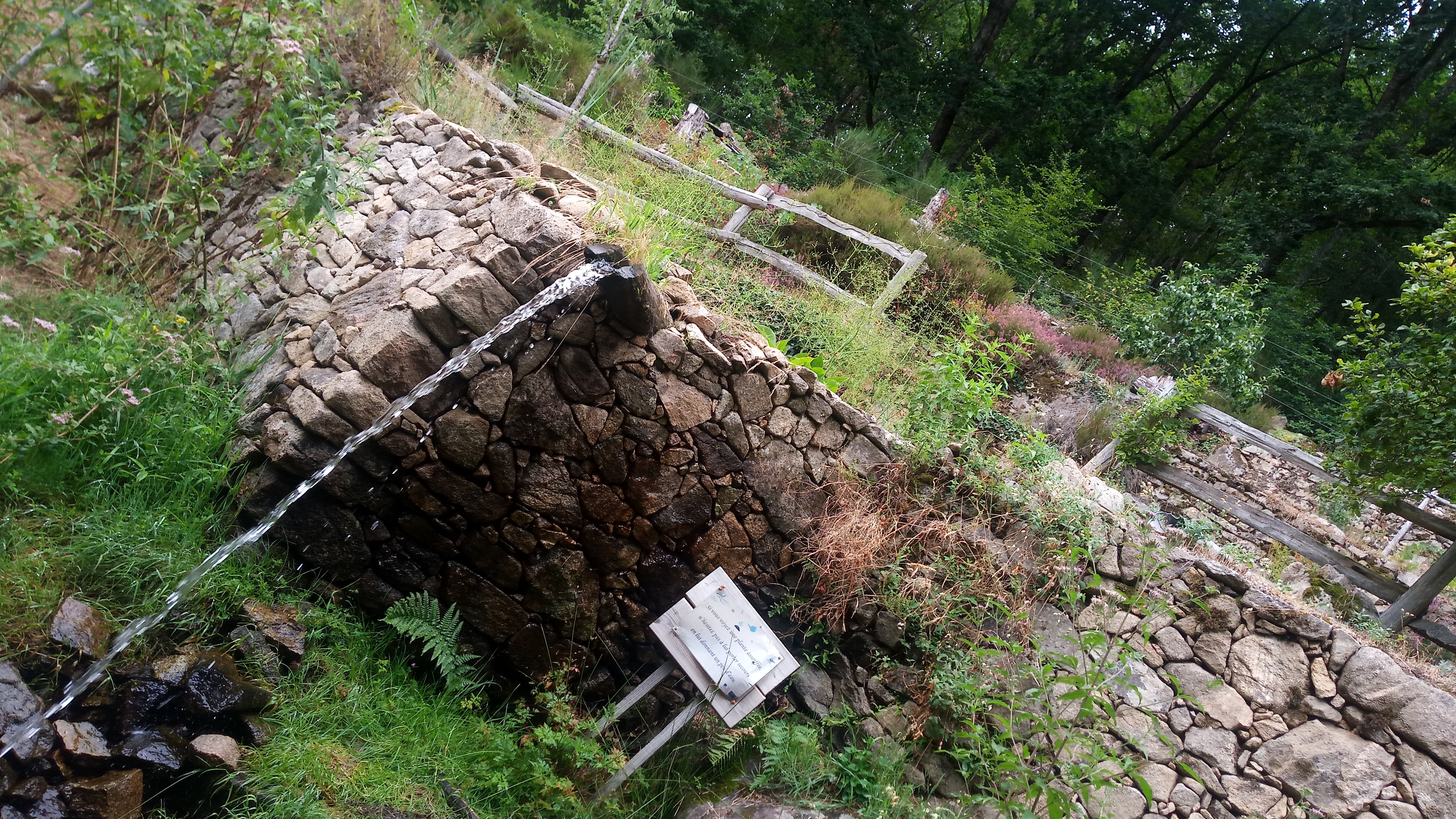 Photo n° 1 de l'avis de caro89.a fait le 07/08/2019 à 13:35