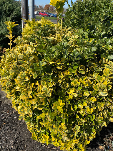 Liquor Store «Wine & Beverage Depot», reviews and photos, 823 Riverview Dr, Totowa, NJ 07512, USA