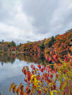 Choate Park - photo 27