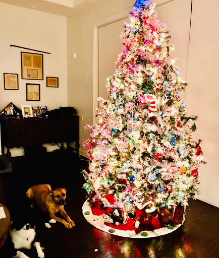 Insurance Agency «Michael Nickas - State Farm Insurance Agent», reviews and photos