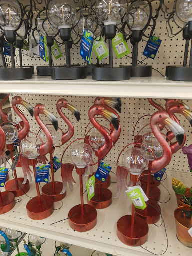 Discount Store «Big Lots», reviews and photos, 1000 N Pine St, Spartanburg, SC 29303, USA