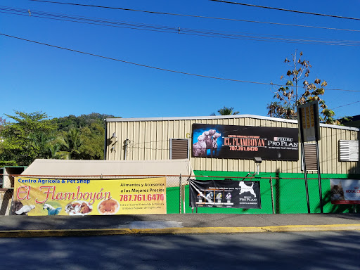 Centro Agrícola Agrocentro El Flamboyán