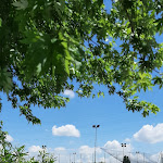 Photo n°2 de l'avis de ELISA.A fait le 12/06/2023 à 07:03 sur le  La Gemma à Casier